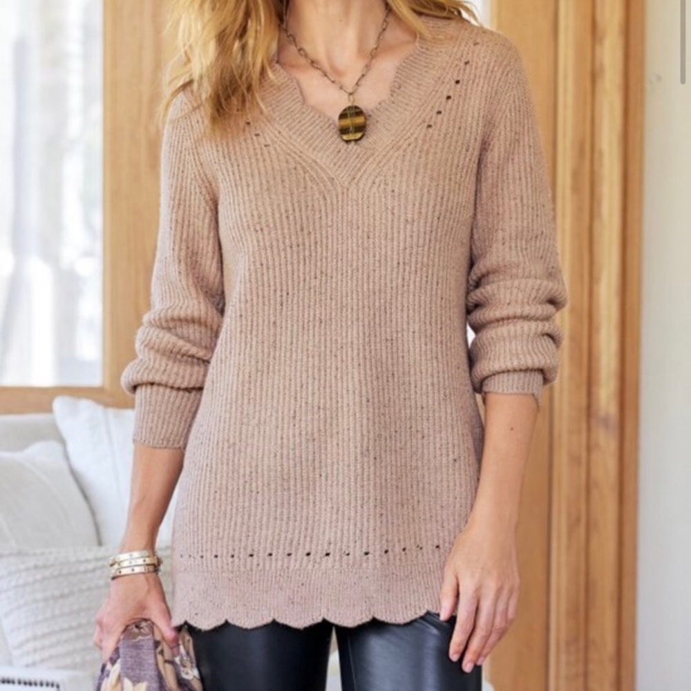 Soft Surroundings Elani V-Neck Sweater in Sand Multi
